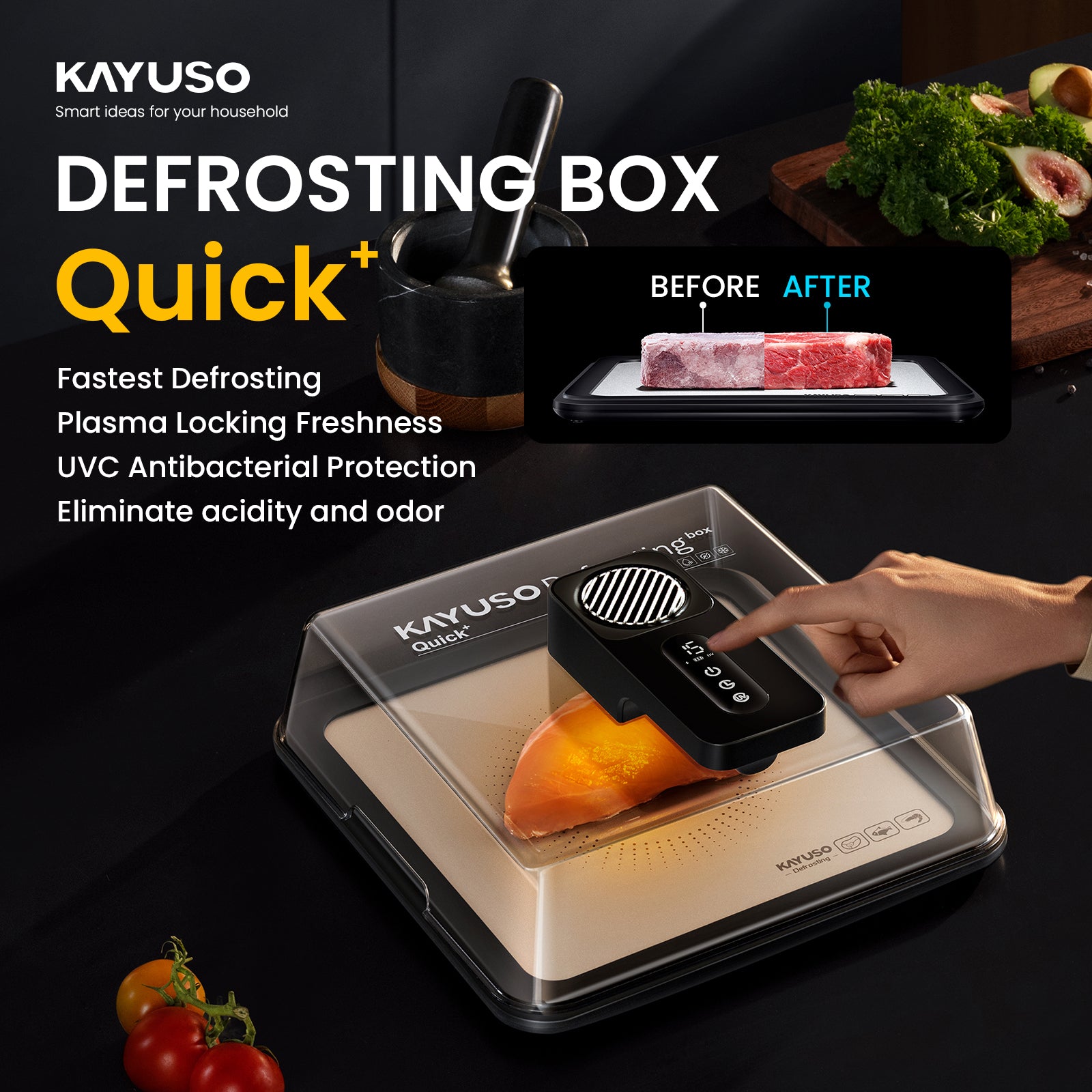 KAYUSO Quick Defrosting Box – kayuso-shop