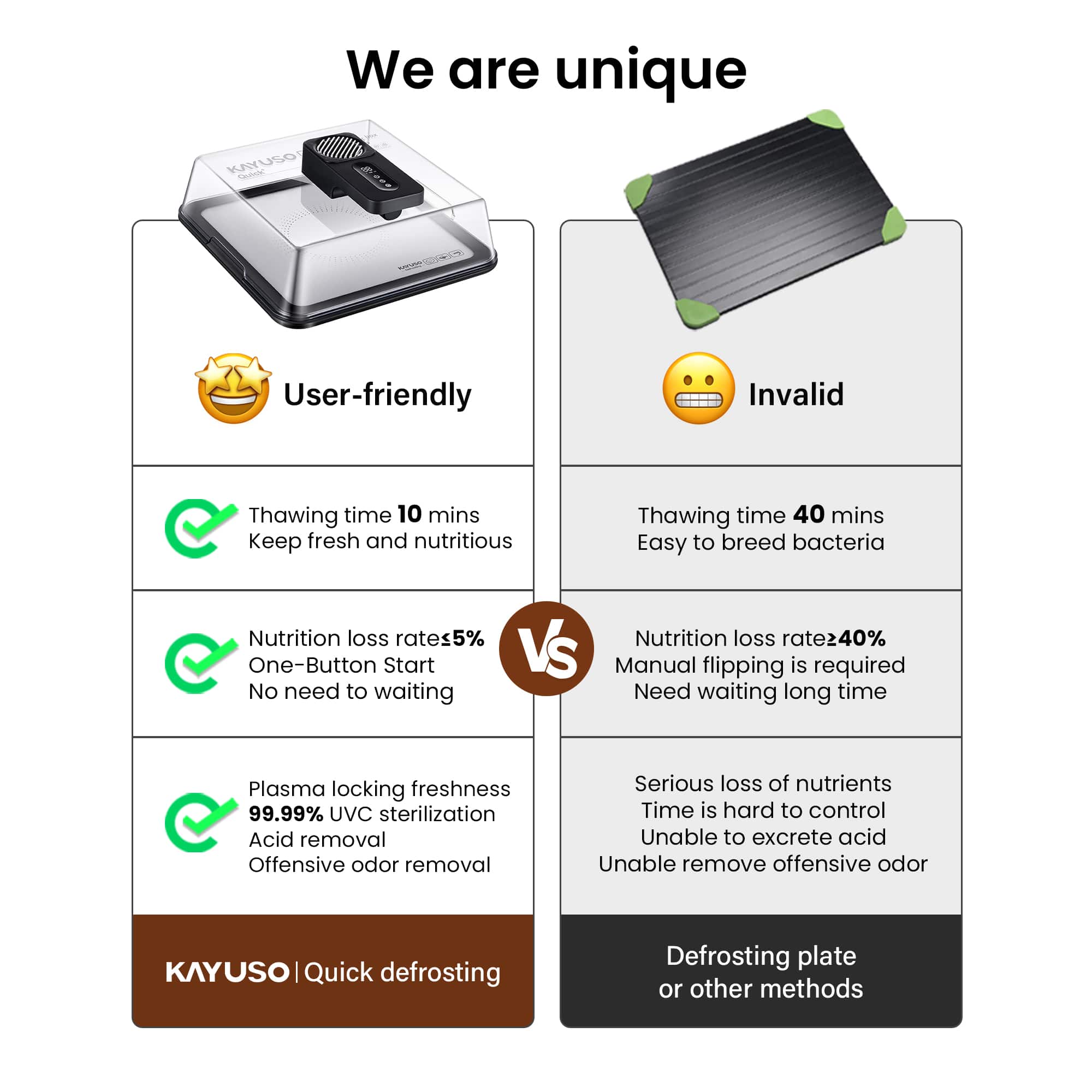 KAYUSO Quick Defrosting Box – kayuso-shop