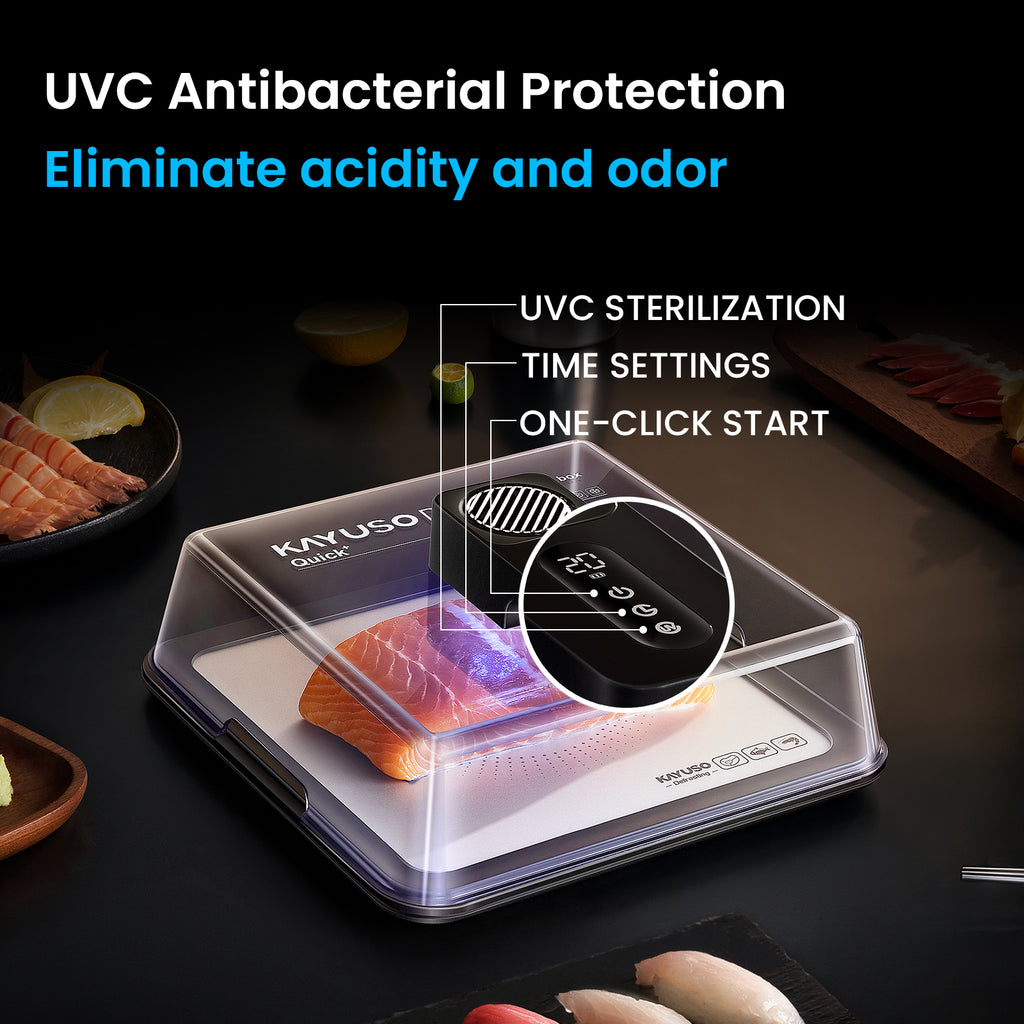 🎁Last Day Promotion 50% OFF🔥KAYUSO Quick Defrost Box