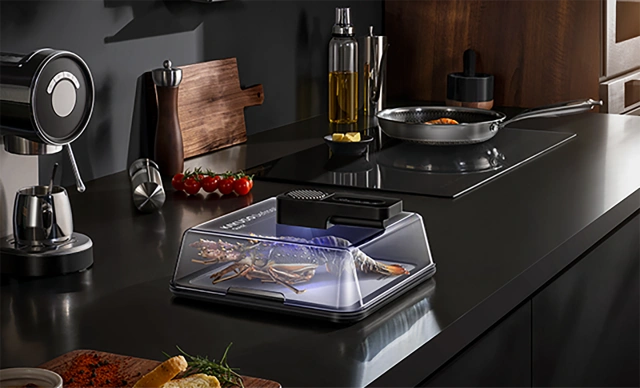 KAYUSO Quick Defrosting Tray, Revolutionize The Method of Defrosting-3