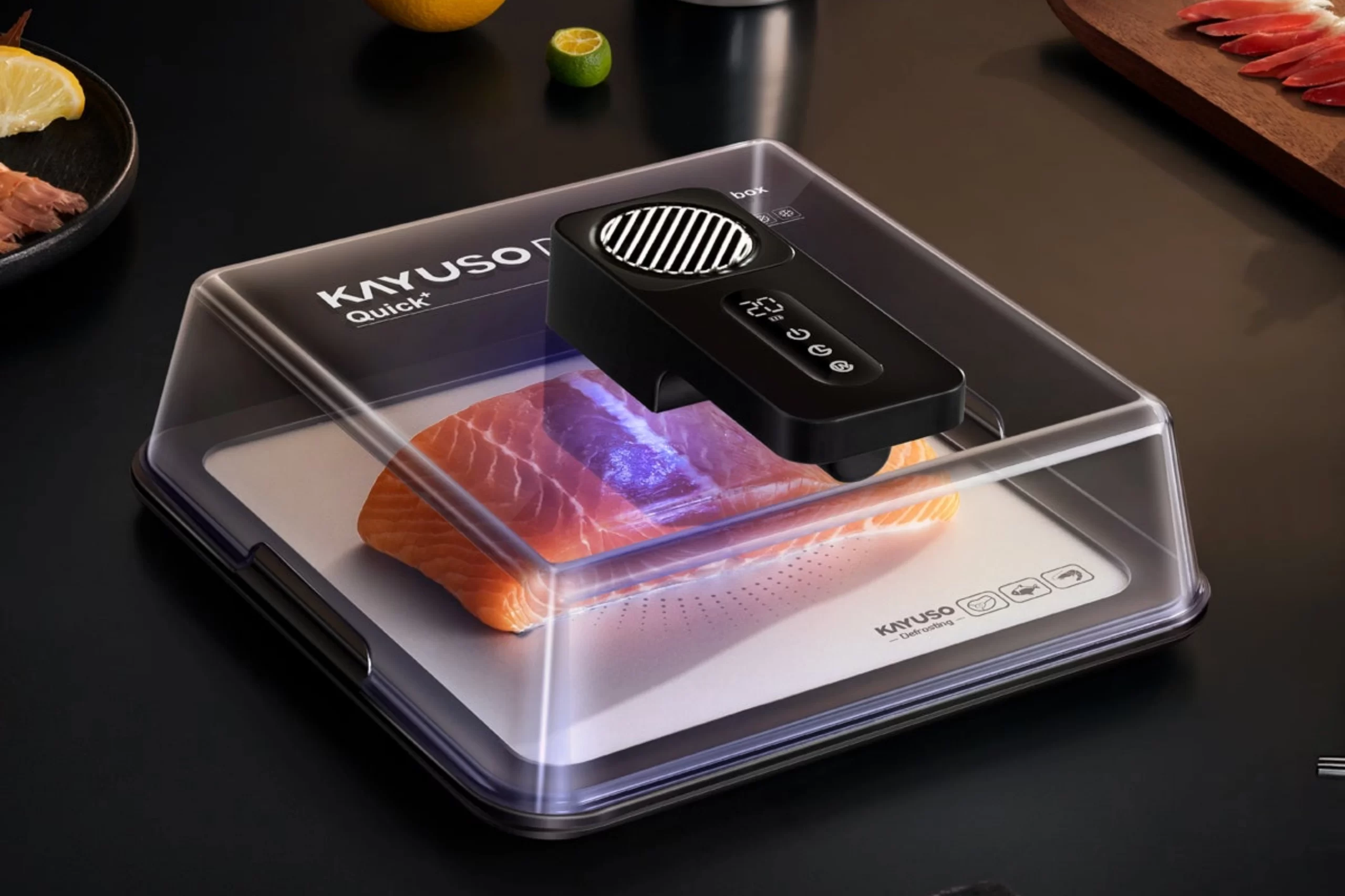 KAYUSO Quick Defrosting Tray-7