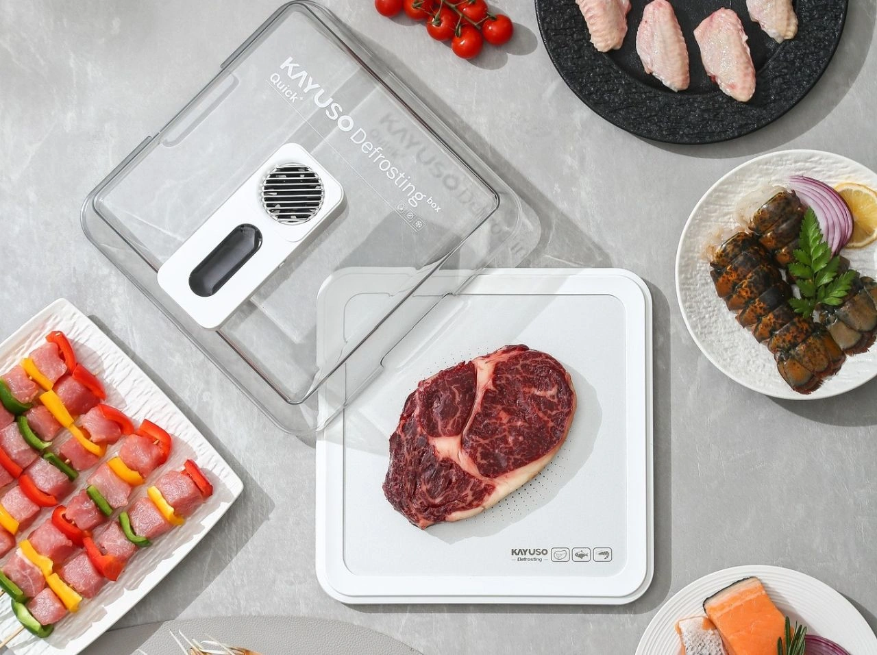 KAYUSO Quick Defrosting Trays-8