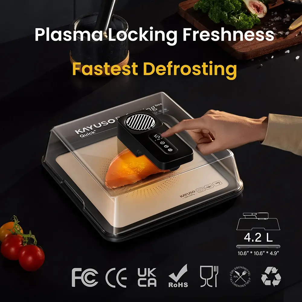 KAYUSO-Defrosting-Tray-4 -mini