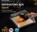 KAYUSO Quick Defrosting Box:Rapid Restore to Freshest Flavor