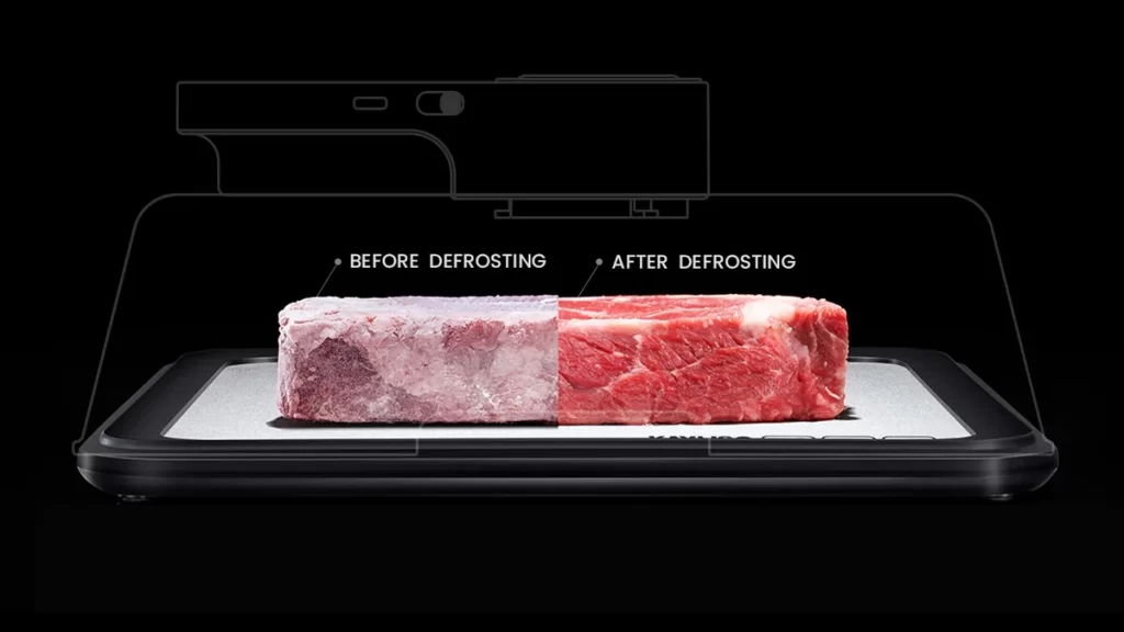 is-investing-in-a-quick-thawing-tray-a-smart-choice-3
