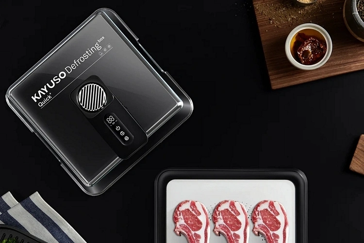 is-investing-in-a-quick-thawing-tray-a-smart-choice-4
