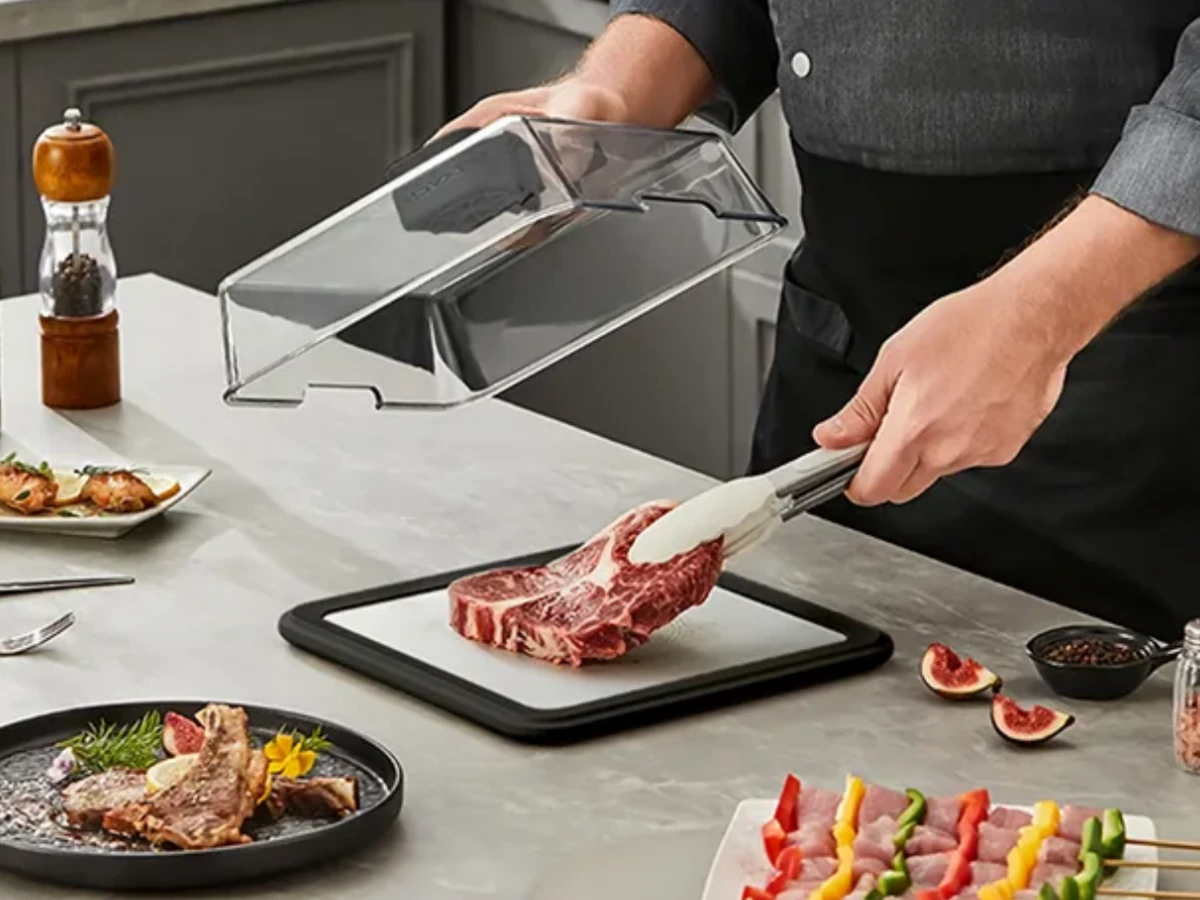best-defrosting-tray-faster-and-safer-meal-prep-1